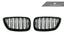 Autotecknic F22 M235i / M240i Double Slat Front Grille Set