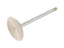 GM Genuine Parts GM LS3 Intake Valve