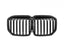BMW G07 X7 LCI Carbon Fiber Grilles