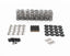 BTR PLATINUM PLUS .685" VALVE SPRING KIT WITH TITANIUM RETAINERS AND VALVE TIP SAVERS - STOCK GUIDES - BTR-SK702/0560/BB/TS