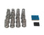 BTR 2009+ 5.7 HEMI .650" LIFT VALVE SPRING KIT WITH TIP SAVERS - SK017/TS