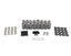 BTR .660" PLATINUM SPRING KIT WITH VALVE TIP SAVERS - BRONZE GUIDES - .060" LOCATORS - BTR-SK001/6560/BB/TS