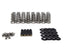 BTR GEN V LT CONICAL SPRING KIT - .650" LIFT - FOR BRONZE VALVE GUIDES - .045" LOCATORS - SK013/6545
