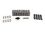 BTR PLATINUM PLUS .685" LIFT GEN V LT4 VALVE SPRING KIT - SK704/0520/BB