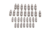 Ford Racing Ford GT and Mustang SVT 5.4L Lash Adjusters