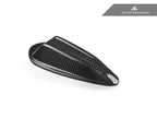 AutoTecknic M-SAV LCI Dry Carbon Roof Antenna
