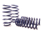 H&R 06-10 Dodge Charger RT/SE/SXT V6/V8 (2WD) Sport Spring (w/Nivomat Only) (view 2)