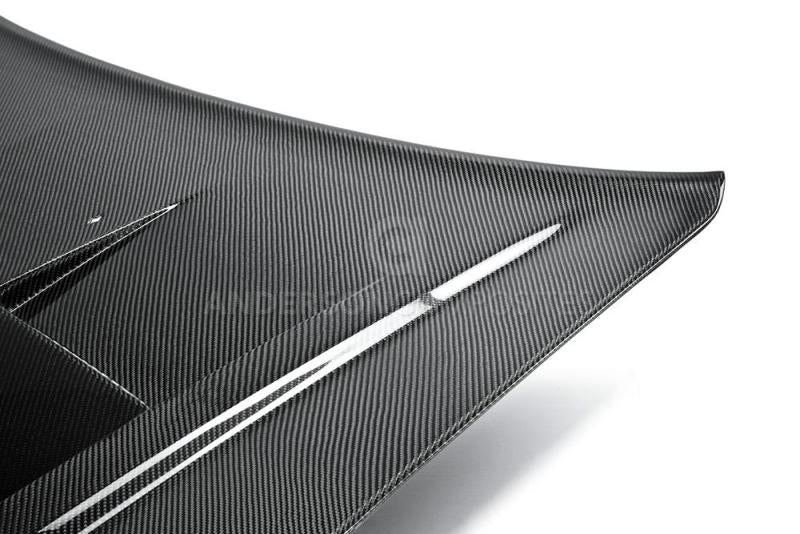 Anderson Composites 11-13 Dodge Charger Type-TS Hood (view 2)