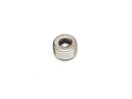 NPT 1/2 Plug