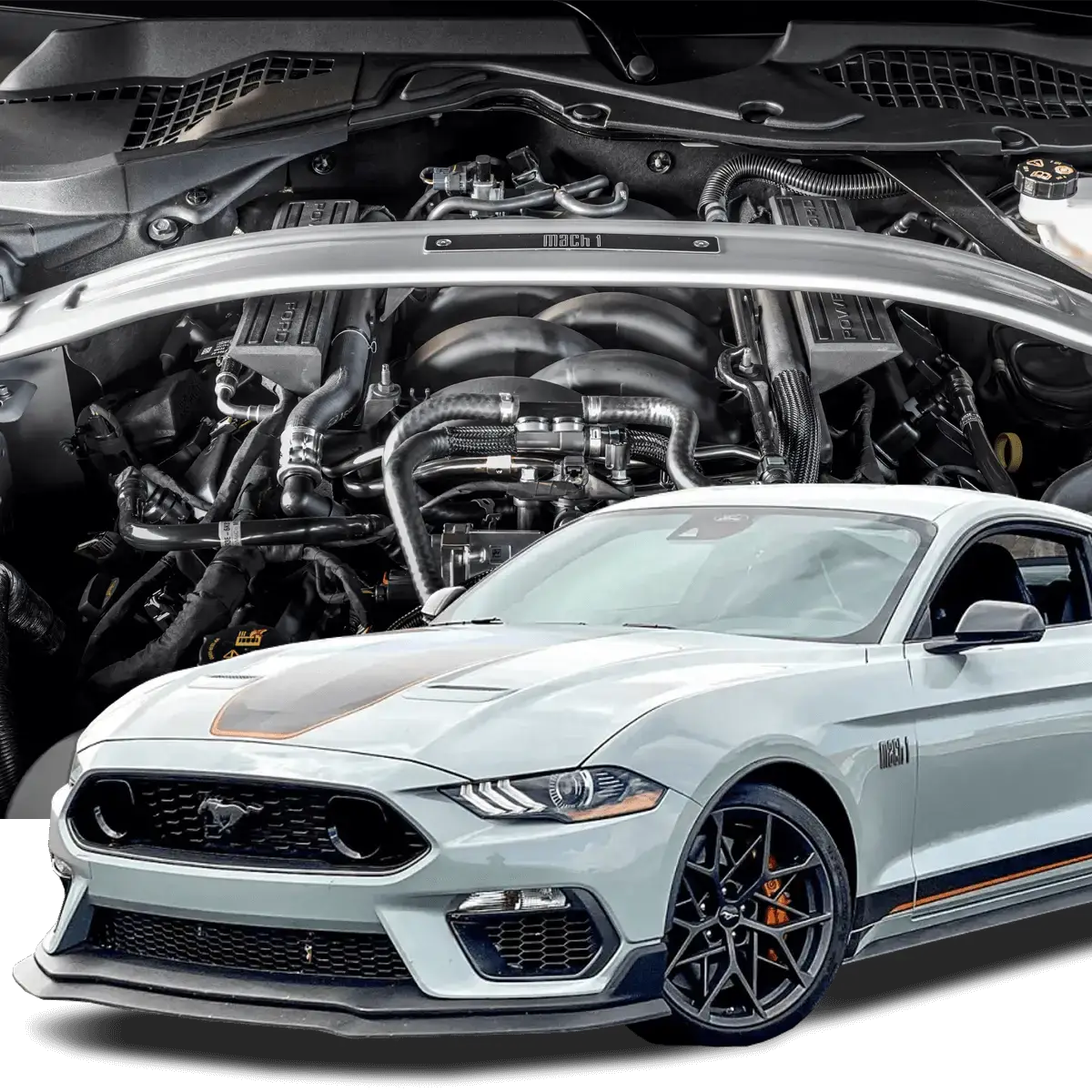 Hellion 2021-2023 Mustang Mach 1 Eliminator Top Mount Twin Turbo System