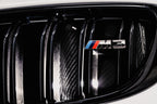 AMS Performance 15-18 BMW M3 / 15-20 BMW M4 w/ S55 3.0L Turbo Engine Carbon Fiber Intake (view 4)