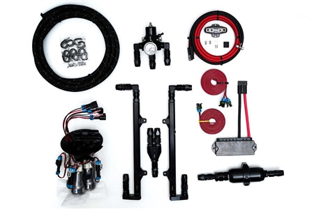 2015-2020 GT350/R L4 Fuel System (triple pump) Secondary image