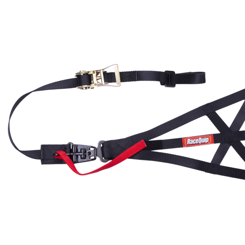 RaceQuip Black SFI 37.1 Side Roll Cage Net (view 2)