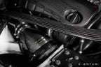 Eventuri BMW F8X M3 / M4 / M2 S55 Black Carbon Engine Cover