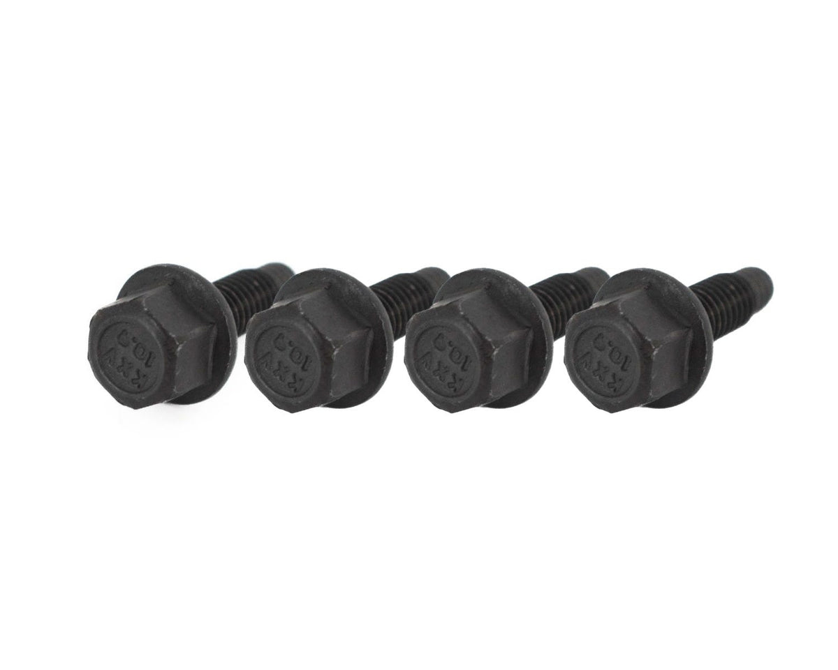 BTR LS LIFTER TRAY BOLTS - LIKE 12551163 - SET OF 4 - BTR-51163-4