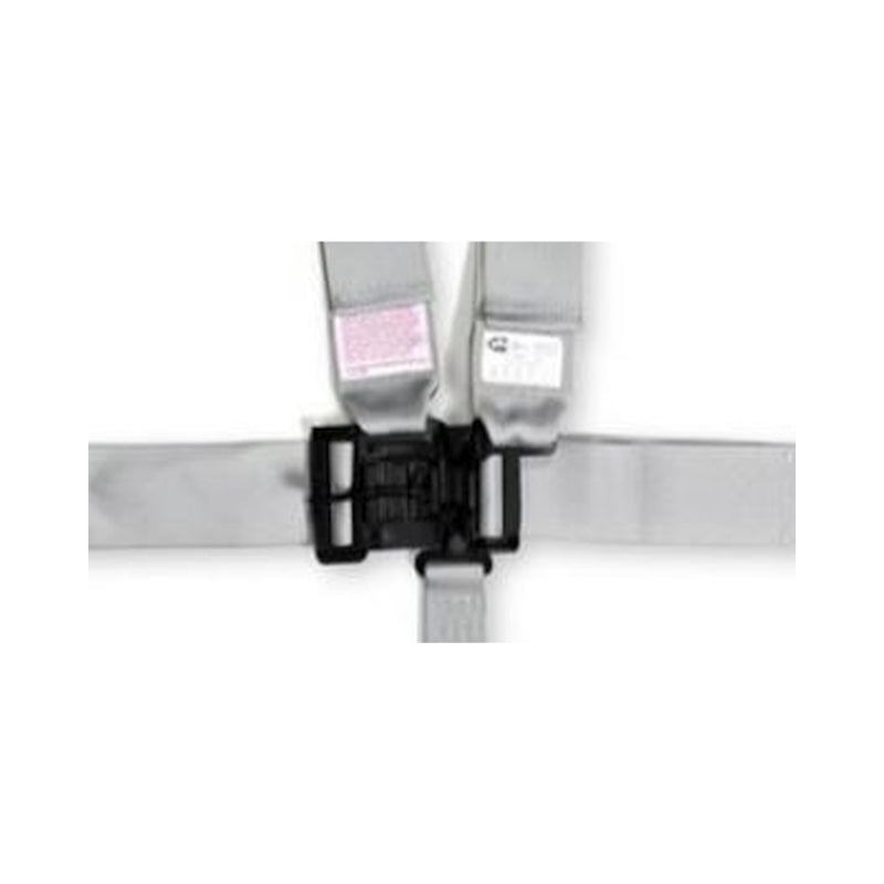 RaceQuip Platinum L & L 5pt Seat Belt (view 2)