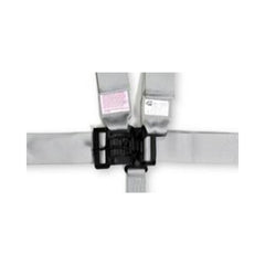 RaceQuip Platinum L & L 5pt Seat Belt