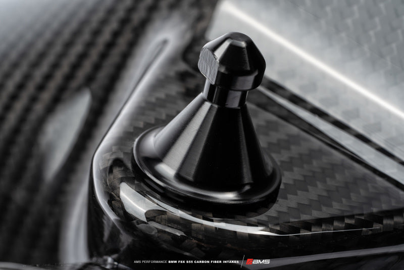 AMS Performance 15-18 BMW M3 / 15-20 BMW M4 w/ S55 3.0L Turbo Engine Carbon Fiber Intake (view 10)