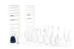 H&R 94-95 Ford Mustang/Mustang Cobra V8 Super Race Spring (view 2)