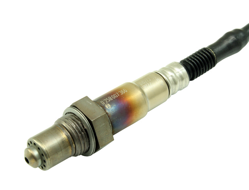 AEM Bosch UEGO Replacement Sensor (view 2)