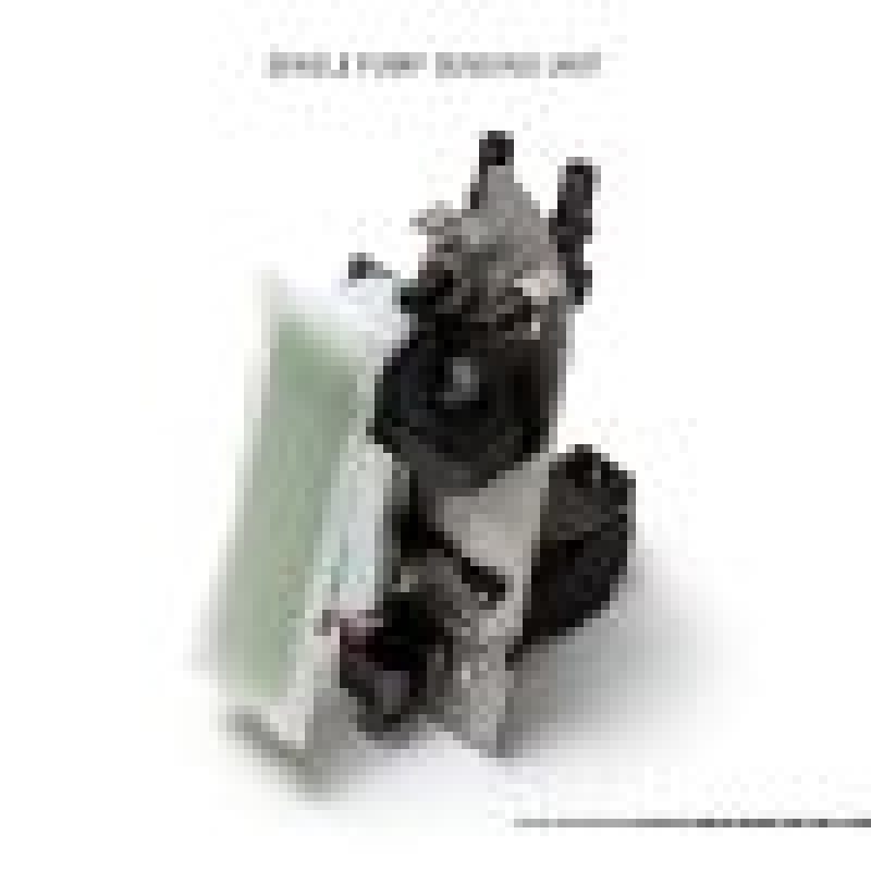 AMS Performance 2009+ Nissan GT-R R35 Omega Fuel System - Dual Pumps (view 2)