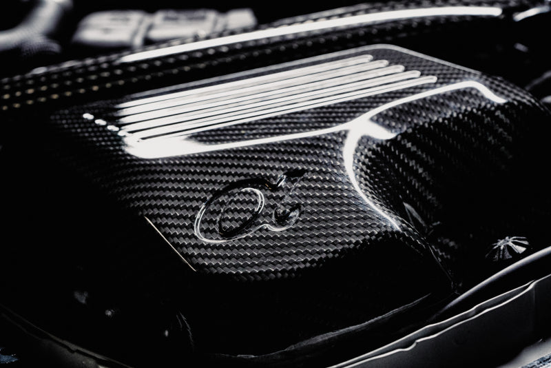 AMS Performance 15-18 BMW M3 / 15-20 BMW M4 w/ S55 3.0L Turbo Engine Carbon Fiber Intake (view 17)