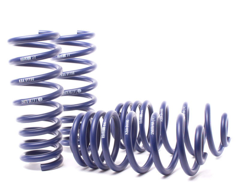 H&R 07-13 BMW X5 E70 Sport Spring (w/o Self-Leveling/Incl. Diesel) (view 2)