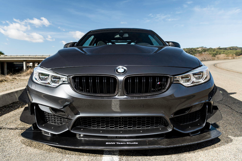 IND F8X M3 / M4 Carbon Grille Set