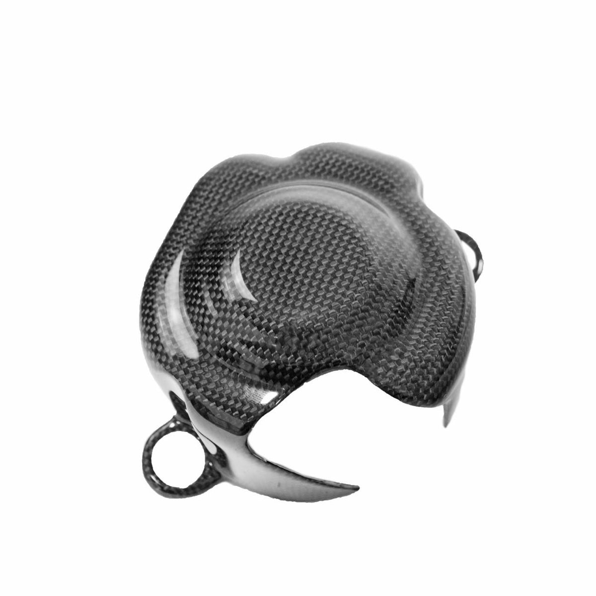 Carbon Fiber Fuel Pump Covers (Pair) - Ferrari 458 Spider and Coupes