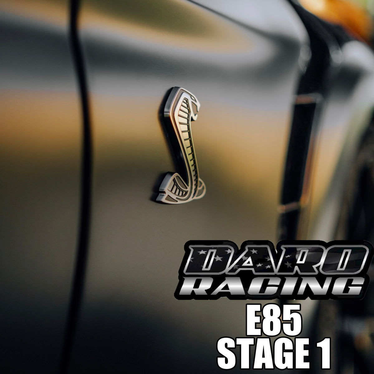 Daro Racing 2020+ GT500 E85 Stage 1 Package