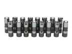 Chevrolet Performance LS Hydraulic Roller Lifters