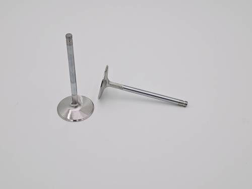 LS2 Replacement Intake Valve - Individual Secondary image