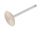 GM Genuine Parts GM LS3 Intake Valve
