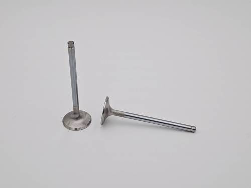LS2 Replacement Exhaust Valve - Individual