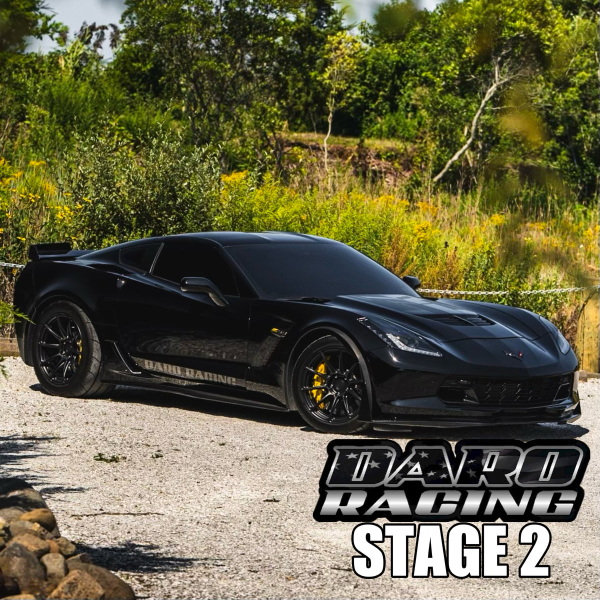 Daro Racing C7 Z06 Stage 2 Package Main image