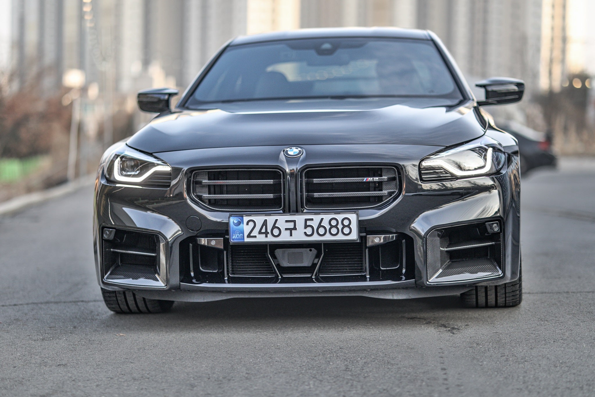 Indiv G87 M2 Carbon Front Grille Set Secondary image