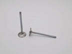 LS2 Replacement Exhaust Valve - Individual
