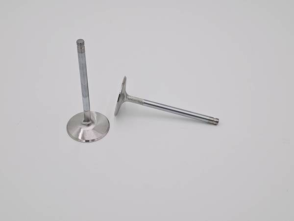 LS2 Replacement Intake Valve - Individual