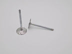 LS2 Replacement Intake Valve - Individual
