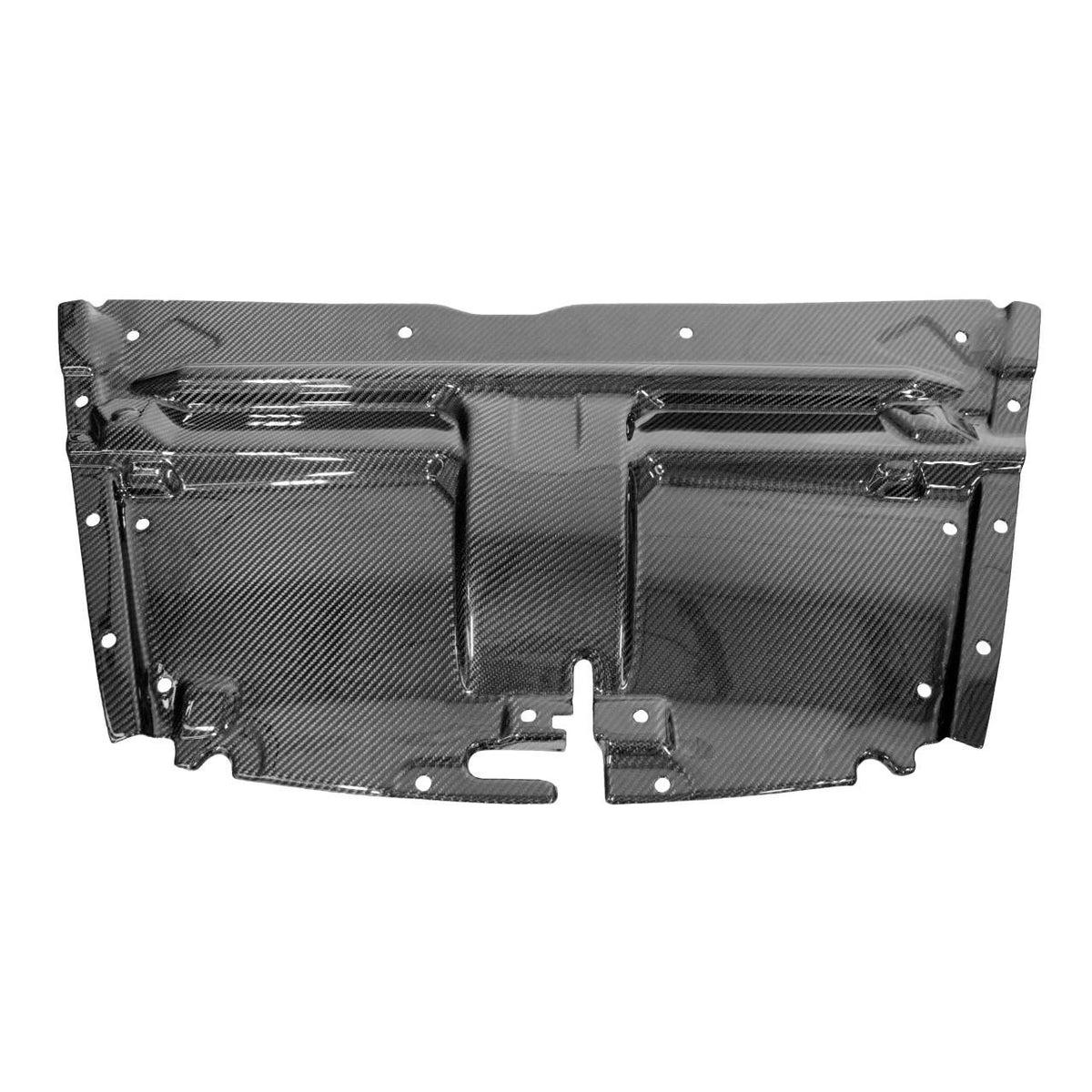 Carbon Fiber Slam Panel - Aston Martin Main image
