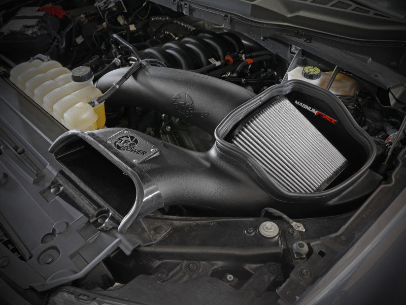 aFe 2021+ Ford F150 5.0L V8 MagnumFORCE Intake Stage-2 Pro DRY S (view 2)