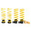 ST BMW M5 (F10) Sedan / M6 (F06) Gran Coupe Adjustable Lowering Springs