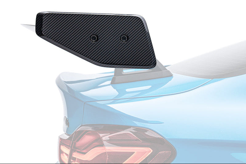 ADRO AT-R1 Wing Carbon Flat Endplates Main image