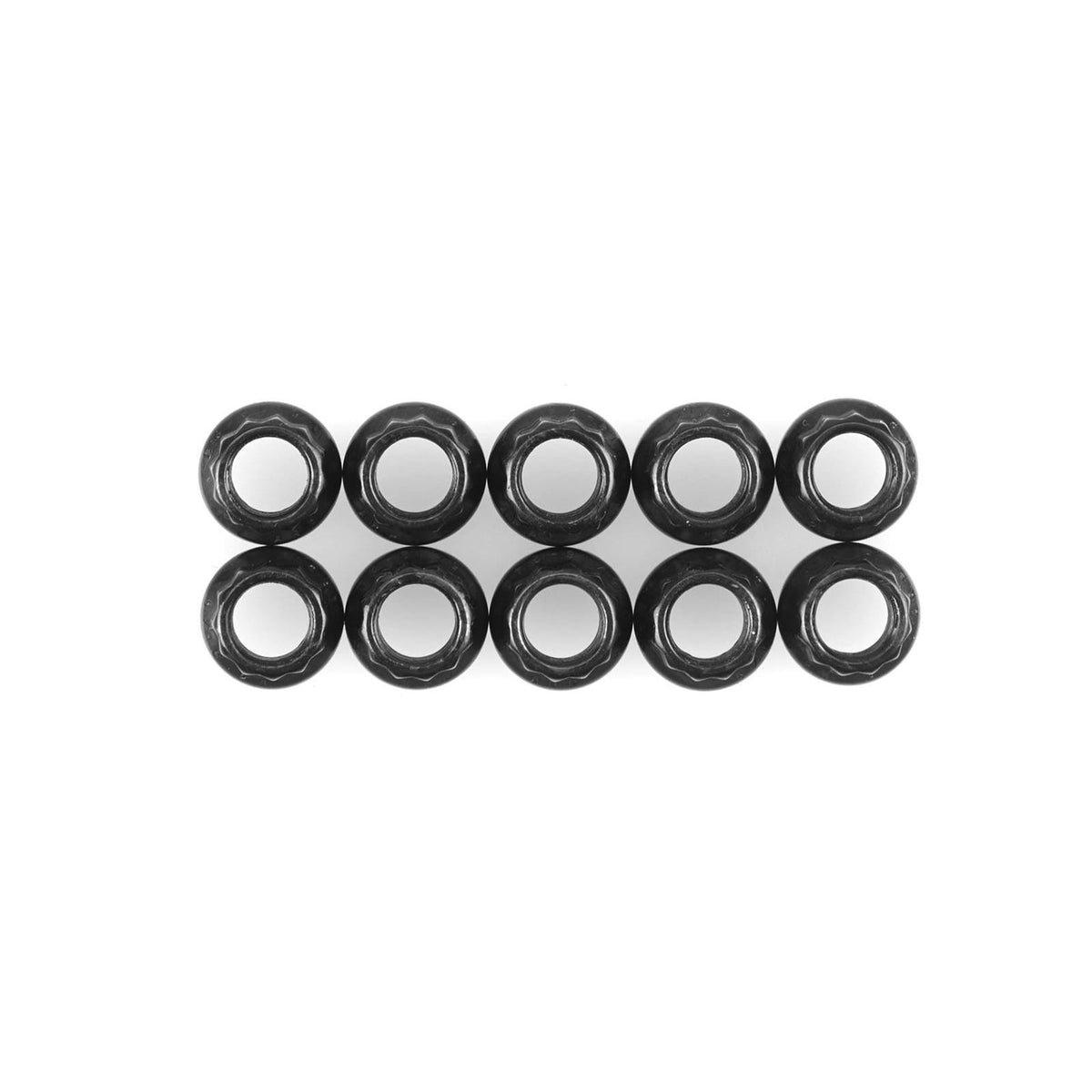 ARP NUT KIT - 5/16"-24 - 12-POINT - 300-8331