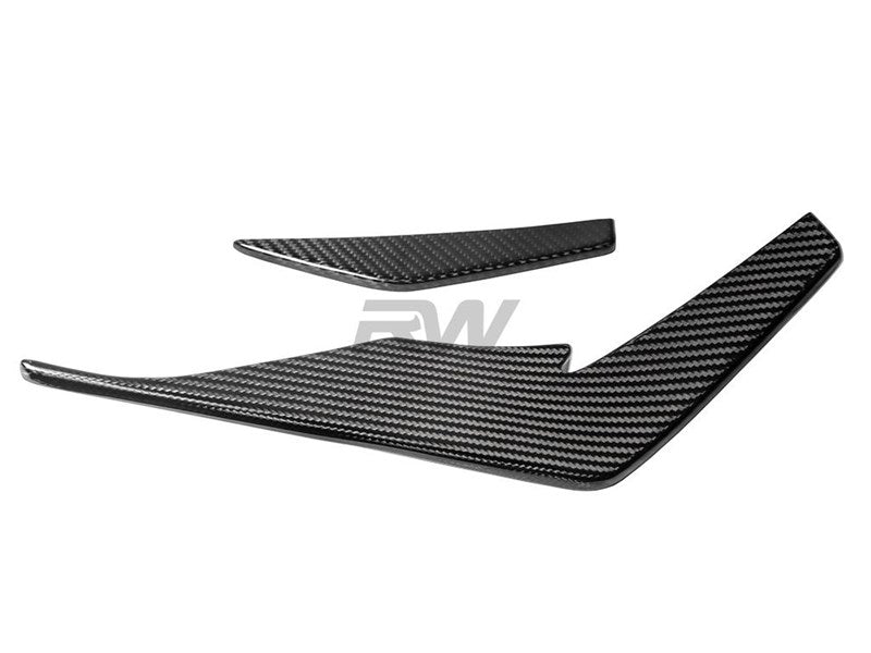Audi R8 4S Carbon Fiber Front Canards 2019+