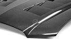 Anderson Composites 11-13 Dodge Charger Type-TS Hood (view 7)