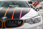 BMW F8X M3 / M4 Competition Front Grille Set