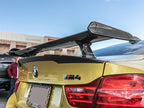 BMW DTM Carbon Fiber Rear Wing