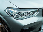 BMW G01 G02 F97 F98 Carbon Fiber Eyelids