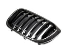 BMW G01 X3 G02 X4 Carbon Fiber Grilles